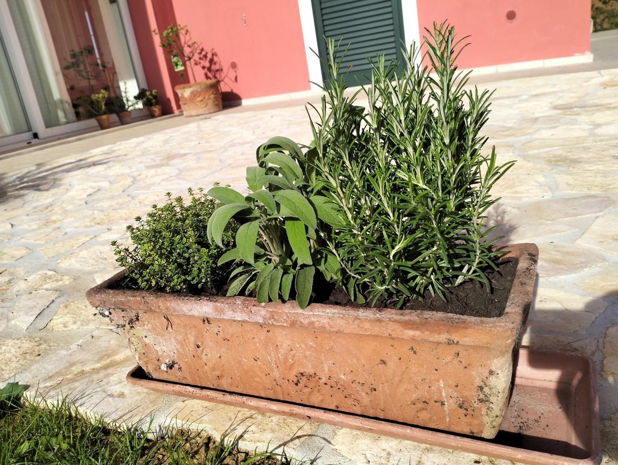 צ'צ'ינה Villetta Fedora Immersa Nel Verde מראה חיצוני תמונה